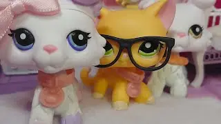 LIVE LpsAce Q&A Stream #2