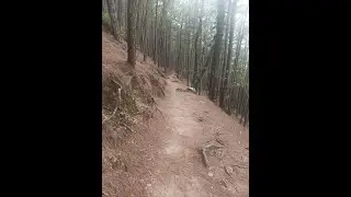 Jogging @Baguio City Camp John Hay (Red Trail, Blue Trail, Yellow Trail)