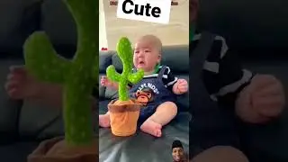 Nangis tapi diturunkan mainan kaktus 
