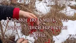 Наша ДАЧА /Дача под Киевом / Как ХОРОШО было, когда не было войны.