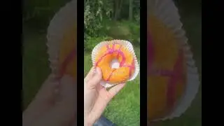 DONUTY GENZIE #shorts #ekipa