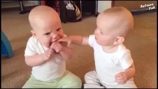 Funny Baby Videos - Twin Baby Playing Together & Fighting Over