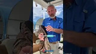 Time To Top Off Your Boating Knowledge? | BoatUS