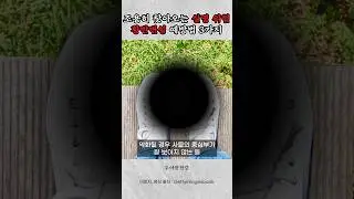 사물의 중심이 보이지 않는다면 의심해 보세요. 조용히 찾아오는 실명 위험! 황반변성 예방법 #건강정보 #건강 #건강지식 #황반변성 #안구건강