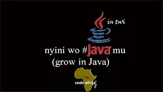 Java in Twi 39.Array Initializer And String Arrays
