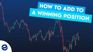 How To Add To A Winning Position