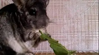 VID 20170505 084912