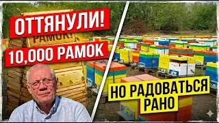 Осенняя ревизия на пасеке или главный осенний осмотр на пасеке