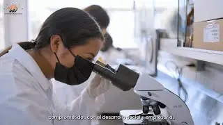 Visión✅ - UBJ | Universidad Benito Juárez🦅📙