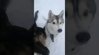 Дружная компания