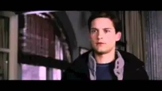 Spiderman ( Are You Serious )