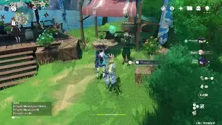 Genshin Impact: Ballon's Ordered Wind