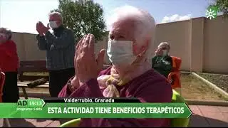 EXPERTOS TIK TOK