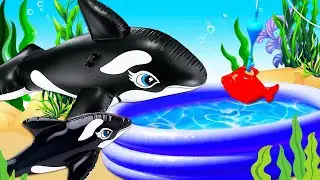 Видео для малышей про игрушки. Бассейн с рыбками. Касатки у Клоуна!