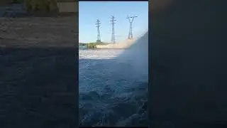 19 июня 2024 г.