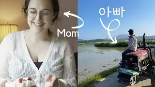 [국제커플]Mom Goes to Seoul and Daddy Becomes a Rice Farmer 엄마는 서울 나들이, 아빠는 시골 모내기
