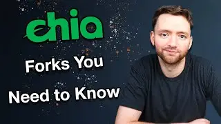 Two Chia Forks You Need to Know