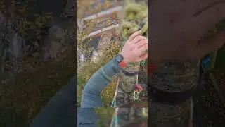 Chainsaws around phone lines. #arborist #treesurgeon #chainsaw #treeremoval #treeclimbing #tree