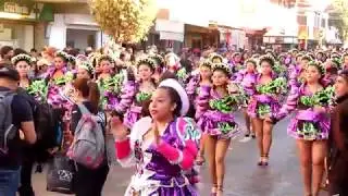 CALAMA CARNAVAL 2018 VIDEO 2