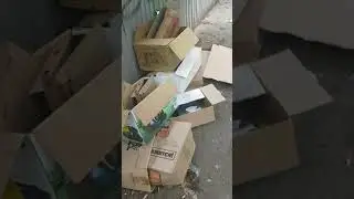 Краснодар, ул. Калинина 350/5. Мусорка на аллее за домом.
