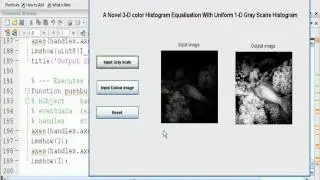 A Novel 3 D Color Histogram Equalization Method With Uniform 1 D Gray Scale Histogram