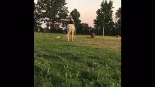 Mystic- bareback ride