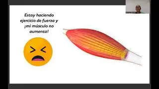 ¿Cantidad o calidad de músculo?