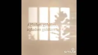Şevval Kızıldağ - Gülebilmez Gülüm Bahar Sensiz