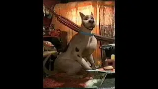 Scooby Doo: Scooby (2002) (VHS Capture)