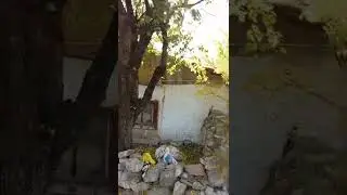 Kütahya Kalesine (Hisar)Giderken Köpek saldırdı😰korkudan öldüm