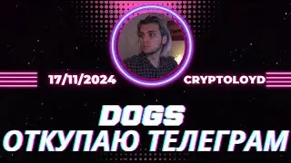 ОТКУПАЮ DOGS TELEGRAM ПАША ДУРОВ ИНСАЙДЕР