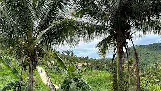 ARGAO, CEBU