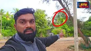 விடுதலைப்புலிகளின் "5 star hotel"லும் பாராளுமன்றமும்