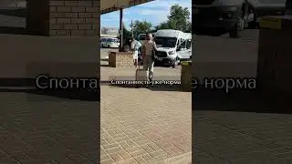 Спонтанность-уже норма