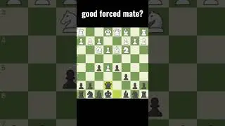 forced mate😹 #chess #checkmate