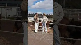 Чем корейцы похожи на казахов? Корейцы тоже любят конину!