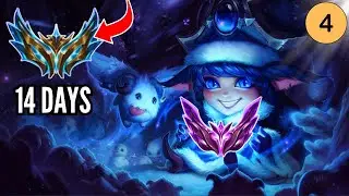 LULU to CHALLENGER!? - Educational 14 Days to CHALLENGER - Day 4 - 🎉December Event !event🎉