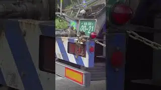 ウッディおった！がんばえー。