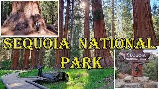 Main Attractions in Sequoia National Park