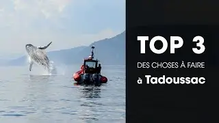 Tadoussac : TOP 3 des choses à faire selon Authentik Canada