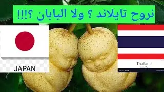 اليابان ولا تايلاند ؟