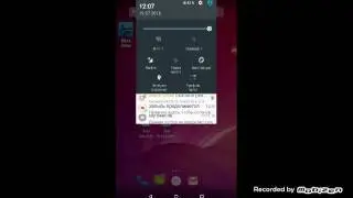 В честь 5 подписчиков Мурик кошка