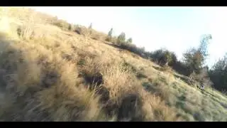 SRD250 FPV Racing Drone, Betaflight, Emax cooling 2204/2300, Lumenier autoshot, DAL 5045BN