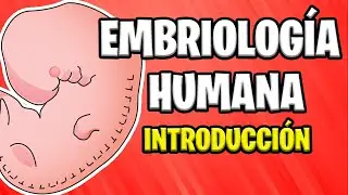 ✅ INTRODUCTION TO THE EMBRYOLOGY HUMAN |  Concepts Basics 📚