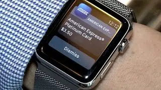 Consumers lose as banks snub Apple's 'digital wallet' system Ed Husic