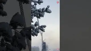 43 градуса мороза в Тарко-Сале 