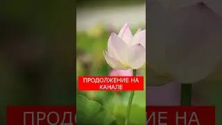 📕 Истории из жизни 📗 Официант и вор 📙 Жизненные истории 📕