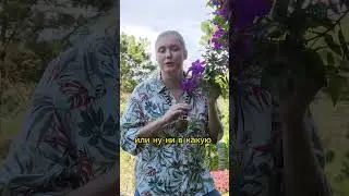 Как влияют плохие отношения с мамой? 
