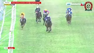 Hippisme - 19ème journée - La 7ème course en direct
