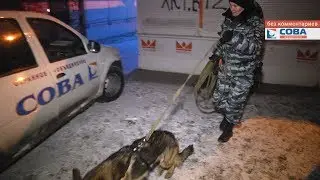 На Титова задержан подозреваемый в ограблении киоска микрозаймов
